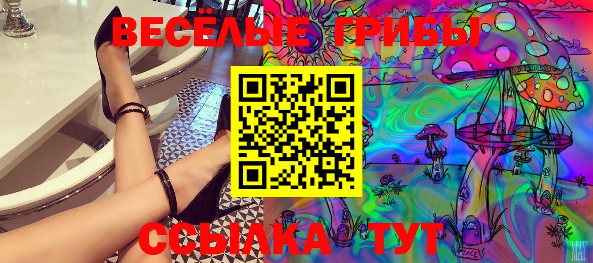 Псилоцибиновые грибы GOLDEN TEACHER Новочебоксарск