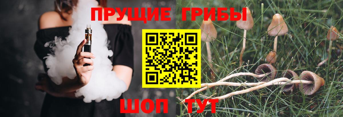 Новочебоксарск  Псилоцибиновые грибы GOLDEN TEACHER  Вход с VPN 
